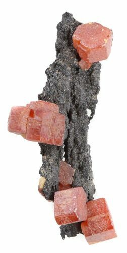Red Vanadinite Crystals on Manganese Oxid - Morocco #38465